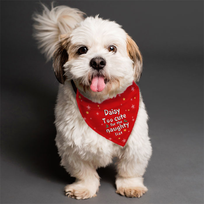 Personalised Too cute for the naughty list Dog Bandana
