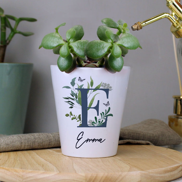 Personalised Botanical Ceramic Plant Pot