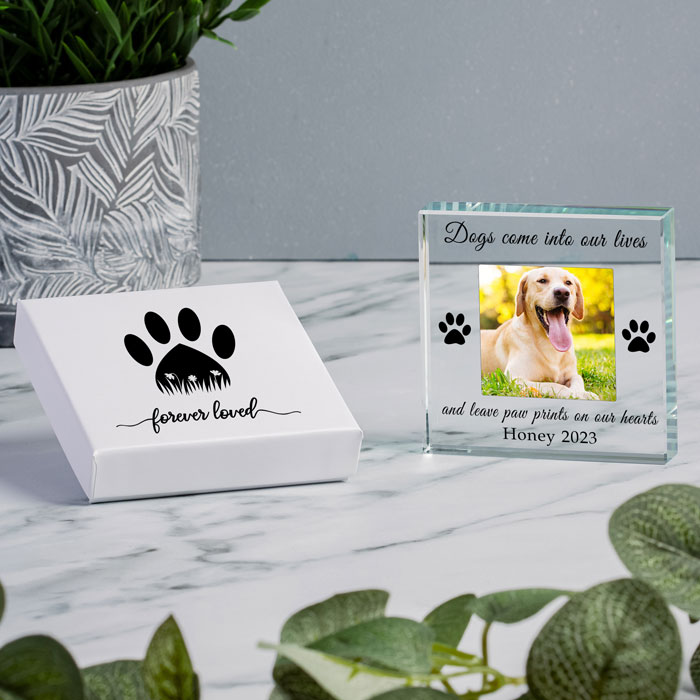 Gift Boxed Dog Memorial Photo Upload Glass Token