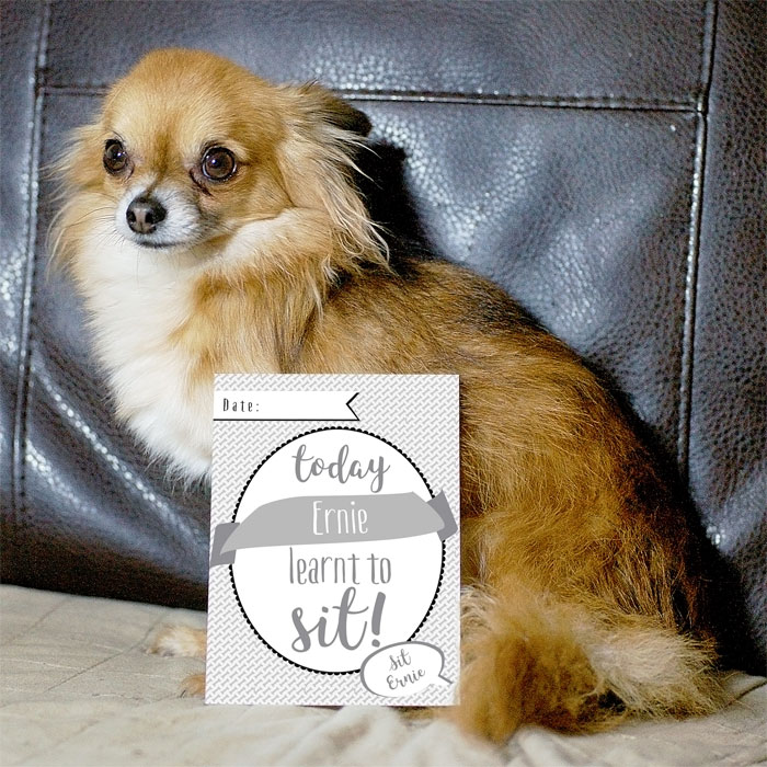 Personalised Puppy Milestone Moments Cards