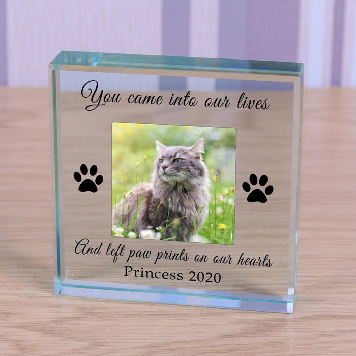 Personalised Pet Photo Memorial Token