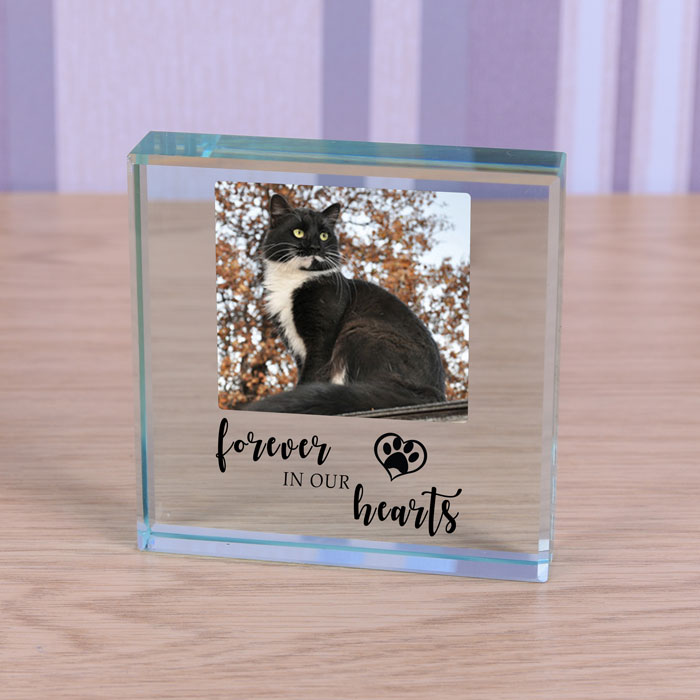 Pet Memorial Glass Photo Block Forever in our Hearts