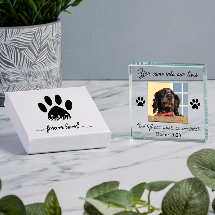 Gift Boxed Pet Memorial Photo Glass Token
