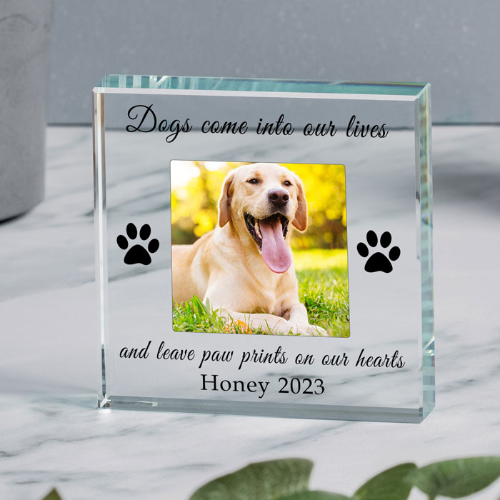 Gift Boxed Dog Memorial Photo Upload Glass Token