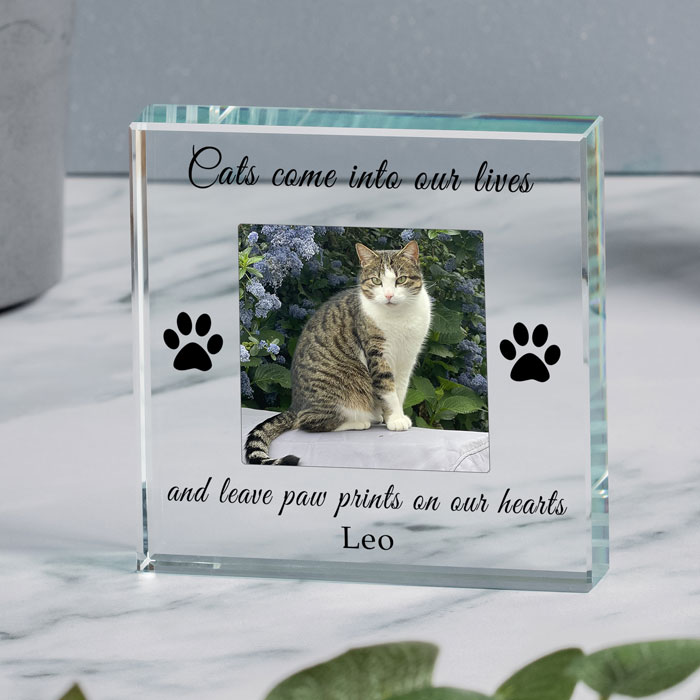 Gift Boxed Cat Memorial Photo Upload Glass Token