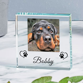 Pet Name Glass Photo Token