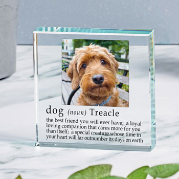Definition of a Dog Personalised Glass Photo Token