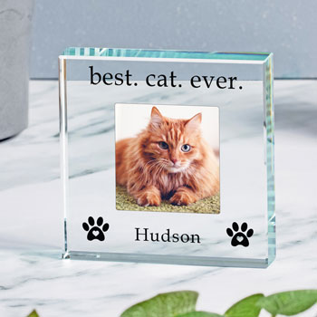 Best Cat Ever Personalised Glass Photo Upload Token