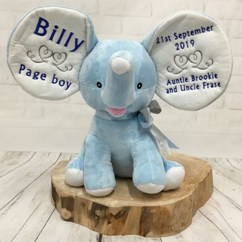 Personalised Page Boy Blue Teddy Bear Cubbies Elephant