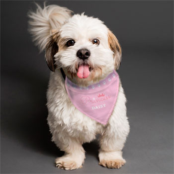 Personalised Princess Pink Dog Bandana