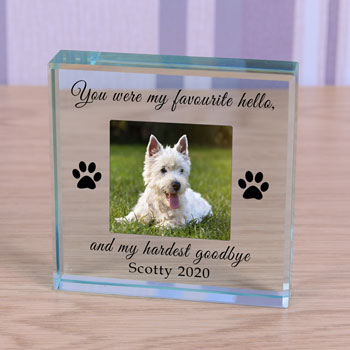 Personalised Photo Pet Memorial Glass Token Favourite Hello