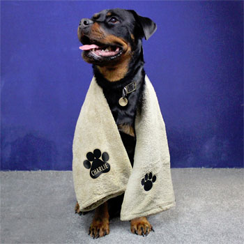 Personalised Paw Print Brown Microfibre Pet Dog Towel