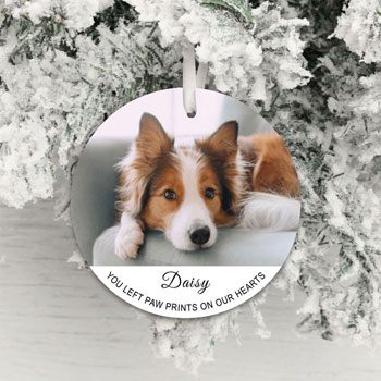 Paw Prints on our Hearts Pet Memorial Photo Decoration