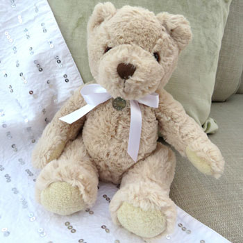 Luxury Personalised Teddy Bear & Engraved Edge Disc