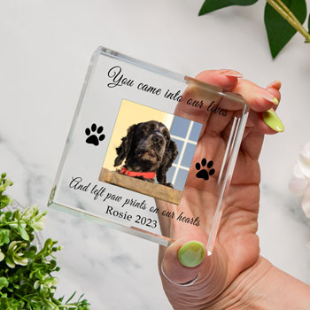 Gift Boxed Pet Memorial Photo Glass Token for Dog or Cat